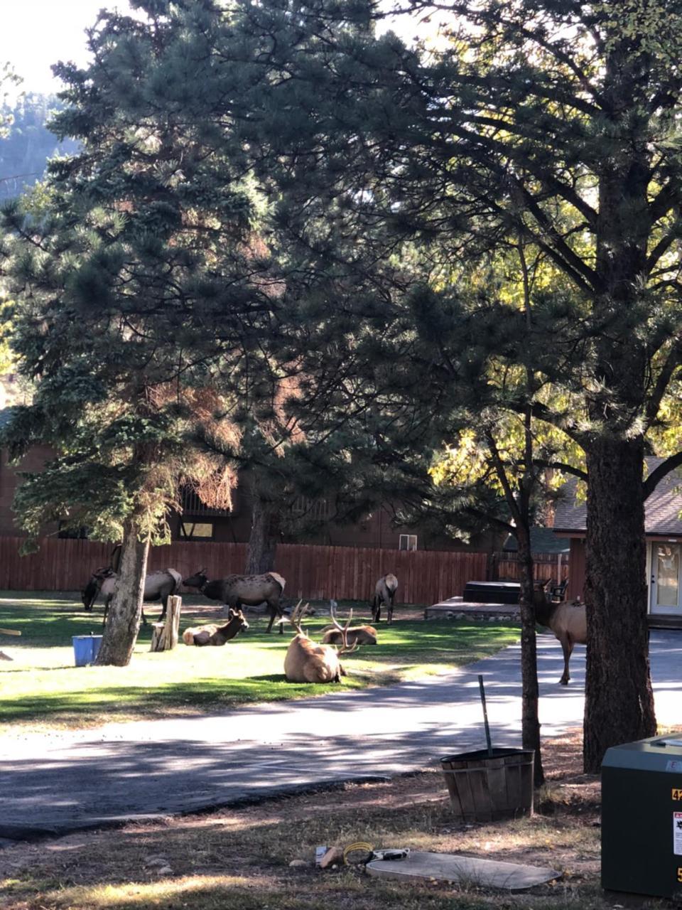 Villa Riverview Pines Estes Park Exterior foto